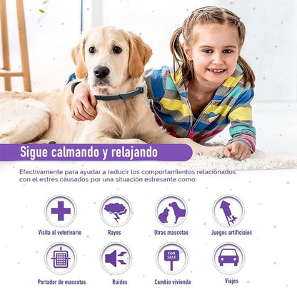 PawHappy™ Collar Calmante para gatos + Cepillo GRATIS