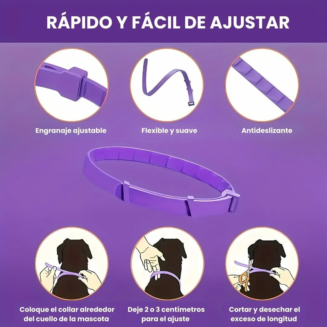PawHappy™ Collar Calmante para gatos + Cepillo GRATIS