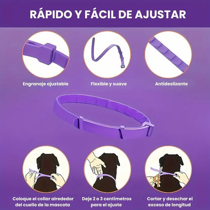 PawHappy™ Collar Calmante para gatos + Cepillo GRATIS