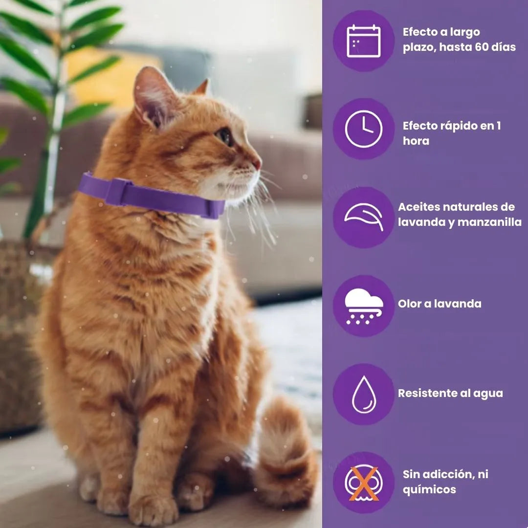 PawHappy™ Collar Calmante para gatos + Cepillo GRATIS