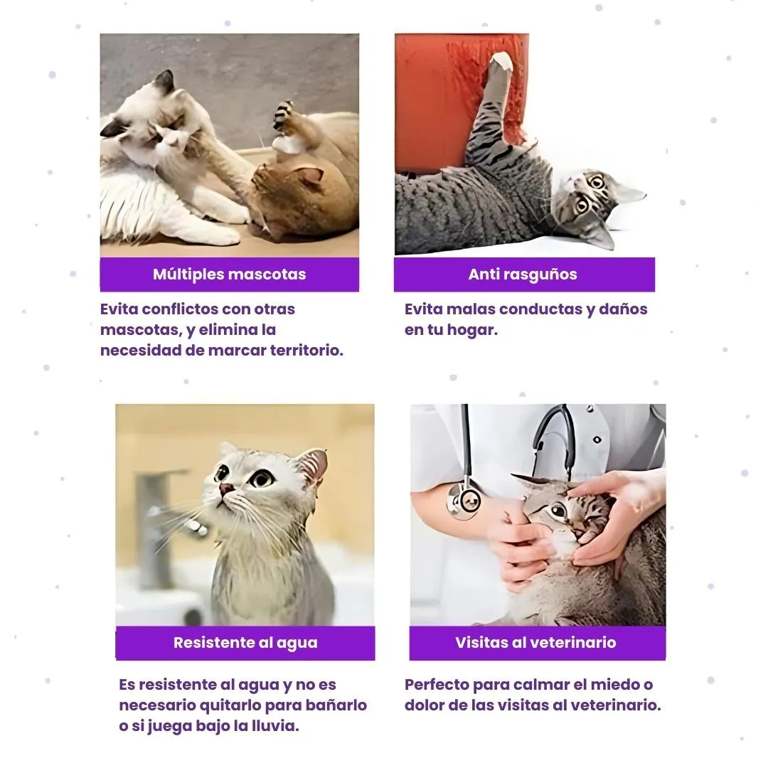 PawHappy™ Collar Calmante para gatos + Cepillo GRATIS